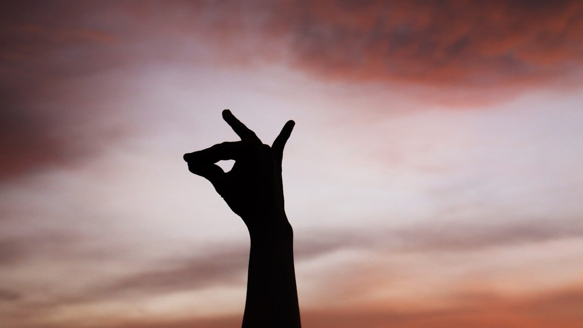 Sunset Silhouette